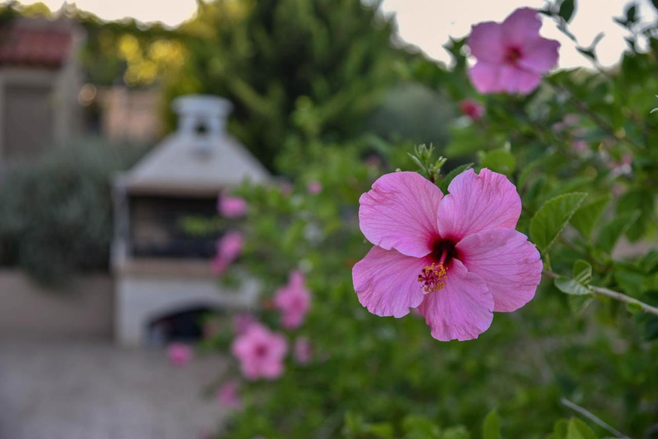 Villabayviewcrete Hersonissos  Exteriér fotografie